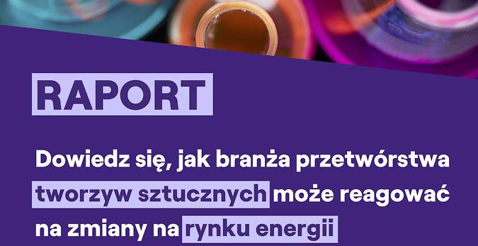 Raport EnelX Polska „Elastyczność w Praktyce”