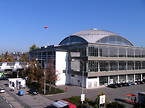MSV 2011