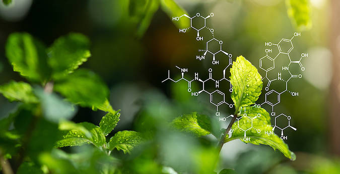 Biotworzywa nowej generacji